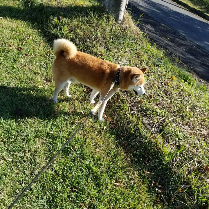 602c064d b213 4b09 aabd 842f16ef4f99 1664431197973