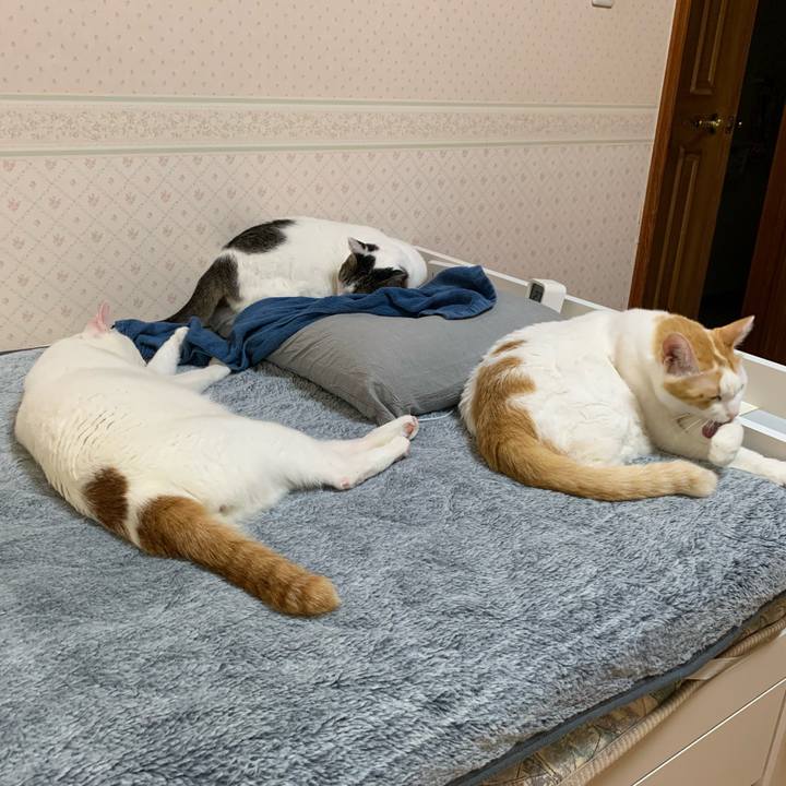 602c8541 1041 4d86 9abd 915e7446e842 1636751425766