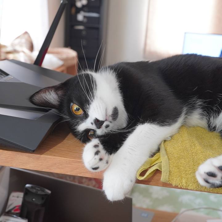 602c952b a20e 4c7d 9ec9 82b15dc4154f 1596672072812