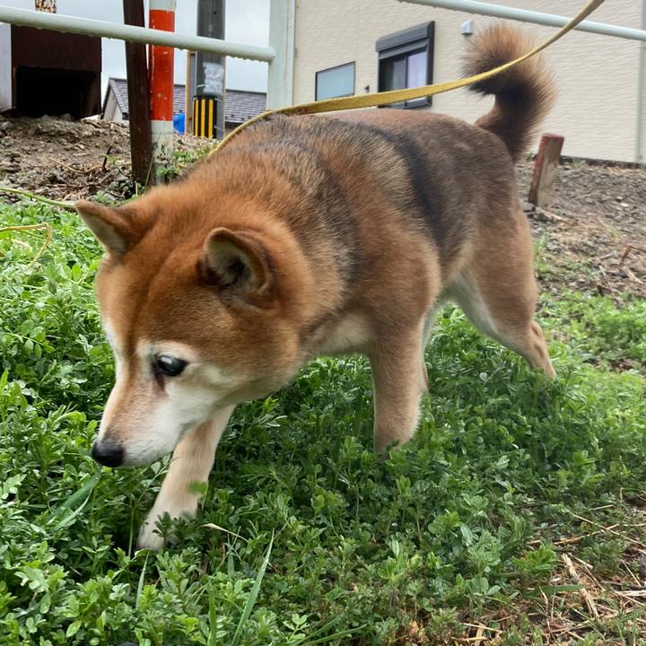 602cae6d e763 448f ab5b e98fd4cc7c2f 1647584029542