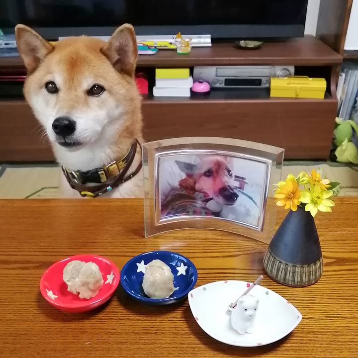 602cb6d5 d6a0 4668 ab15 dfcdc19e1ef7 1628828640266