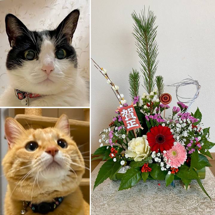 602cc0cb abfa 4d5c 8c80 f3356aeca92f 1735651218690