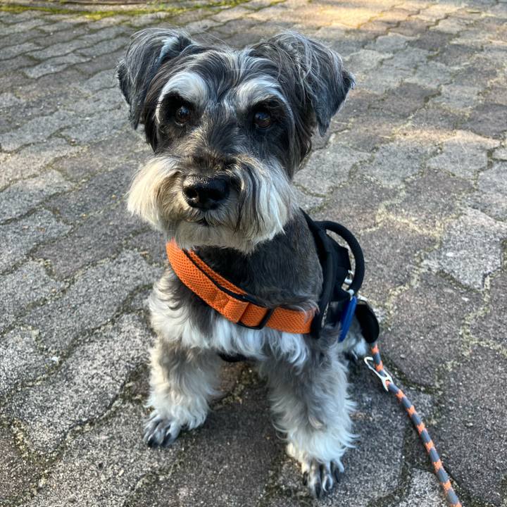 602cc81e f6ca 4372 9f1d a8c6ea22ff35 1751205287086