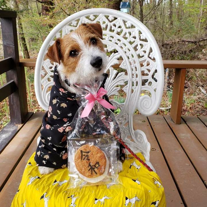 602ce4b5 341f 41c7 bbef 9644f3e7d88e 1556667606617