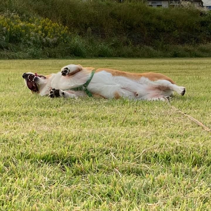 602d2d3a 5e3c 446b bd37 dadd89be66e5 1730423695263