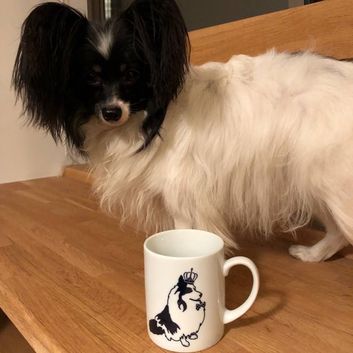 602d5338 8aa1 44ed acb5 28cd1b94b542 1523612735336