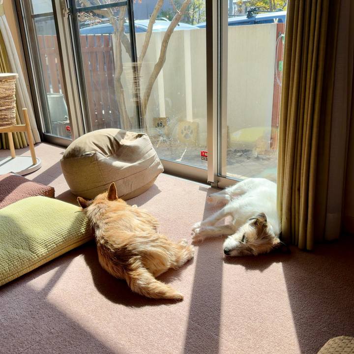 602d75f4 1e1e 4d7f 8b1d 193c6cc03104 1772343040220