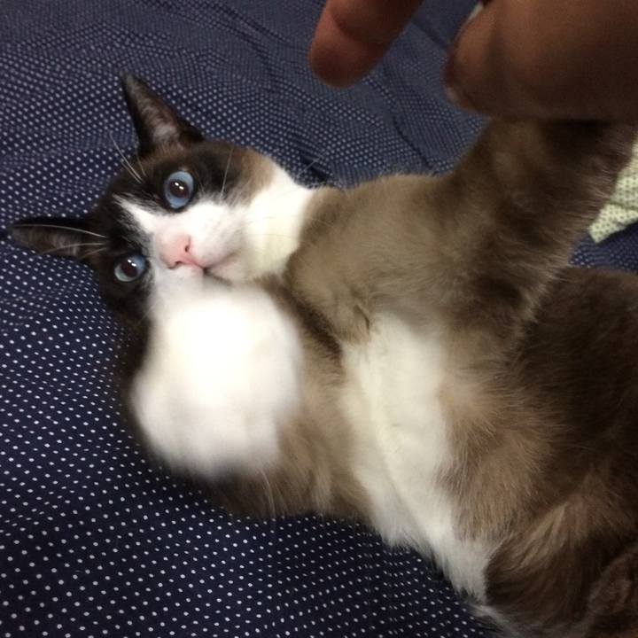 602d76ee 9105 4173 ad15 596cde372a27 1514689688309