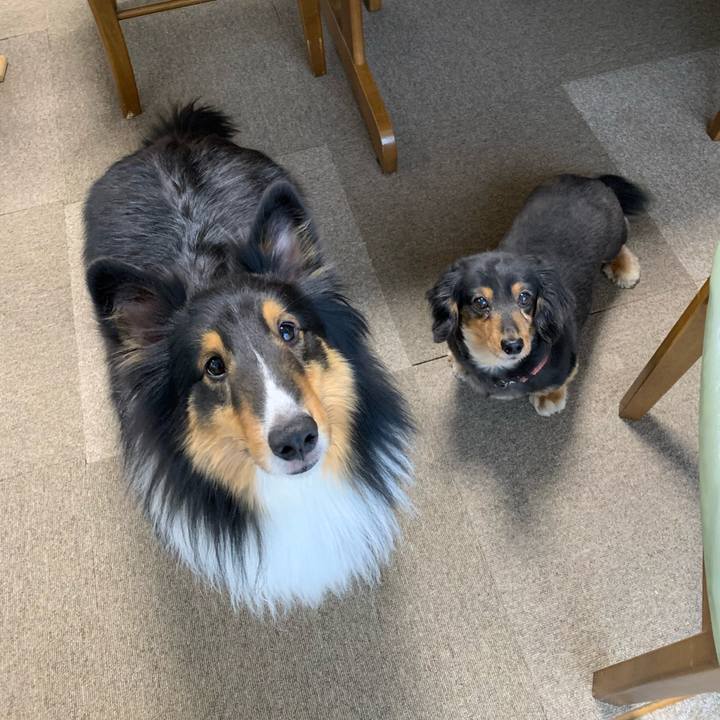 602d81e4 b67c 401c 9b7b c35a09f99697 1586468158632