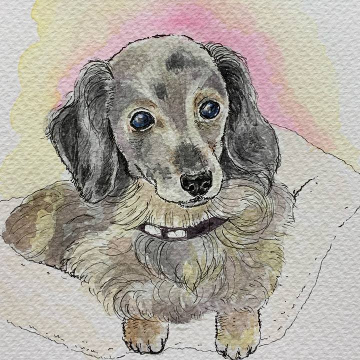 602d8cc1 e8d1 4ce9 8334 8ff7af124b95 1582554366045