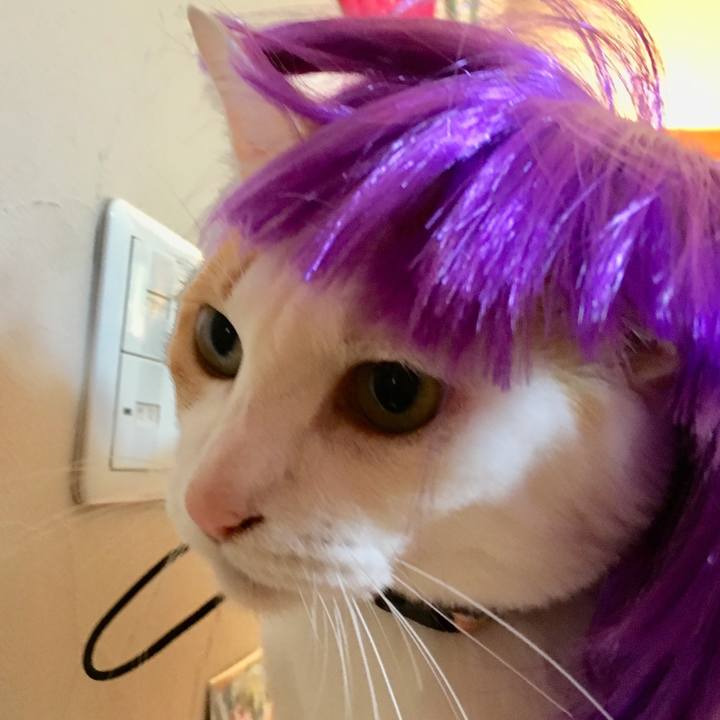 602d8f7e 015c 48f2 b1a8 7ef6c2ae6594 1537139991755