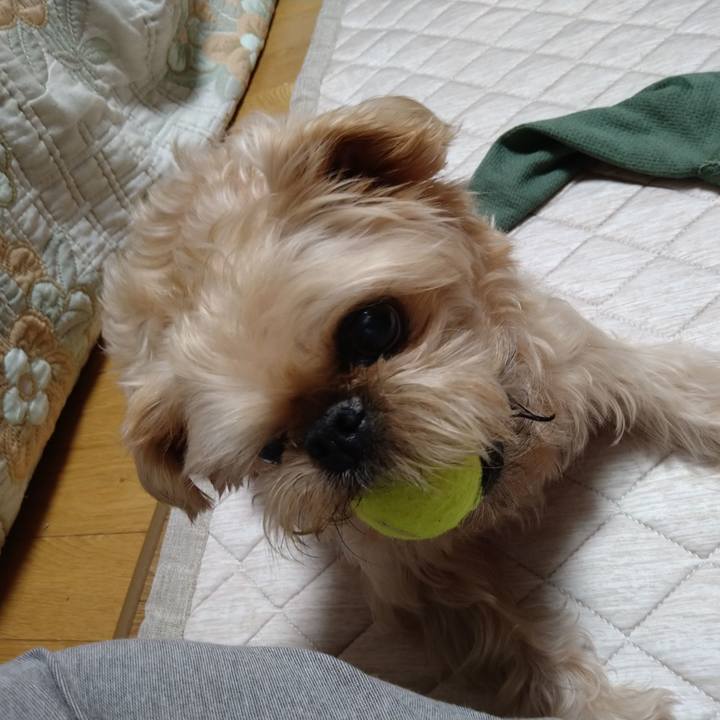 602dd5cc 62a2 4fec ac7d 575175a24725 1660562641587