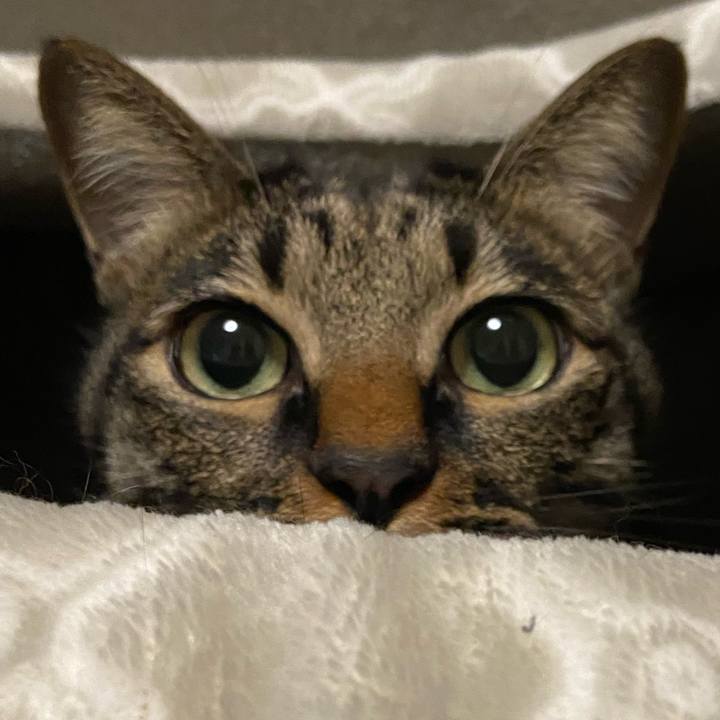 602e2c86 5f8b 4fc5 96af 542ba4f41849 1701947388127