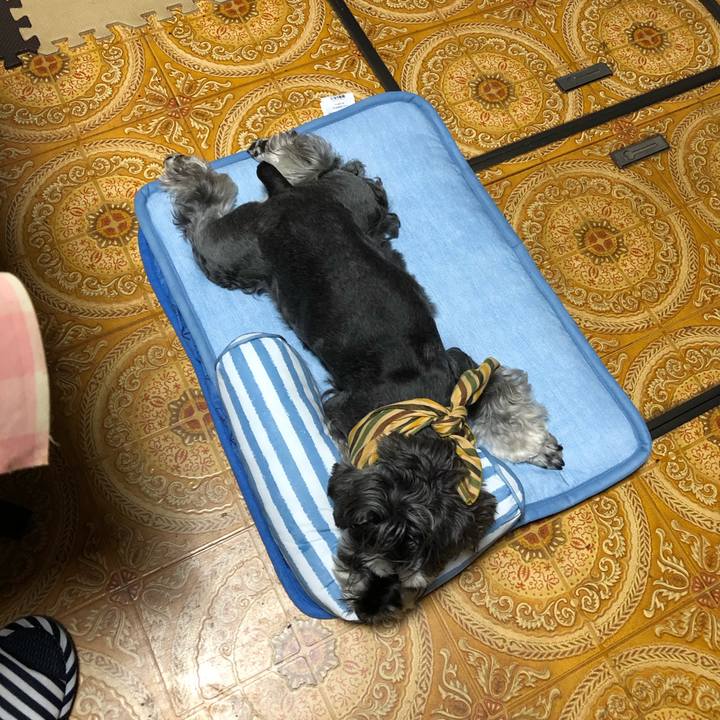 602e42a2 dcdf 450a 8817 081ec9bbc99b 1656938083471