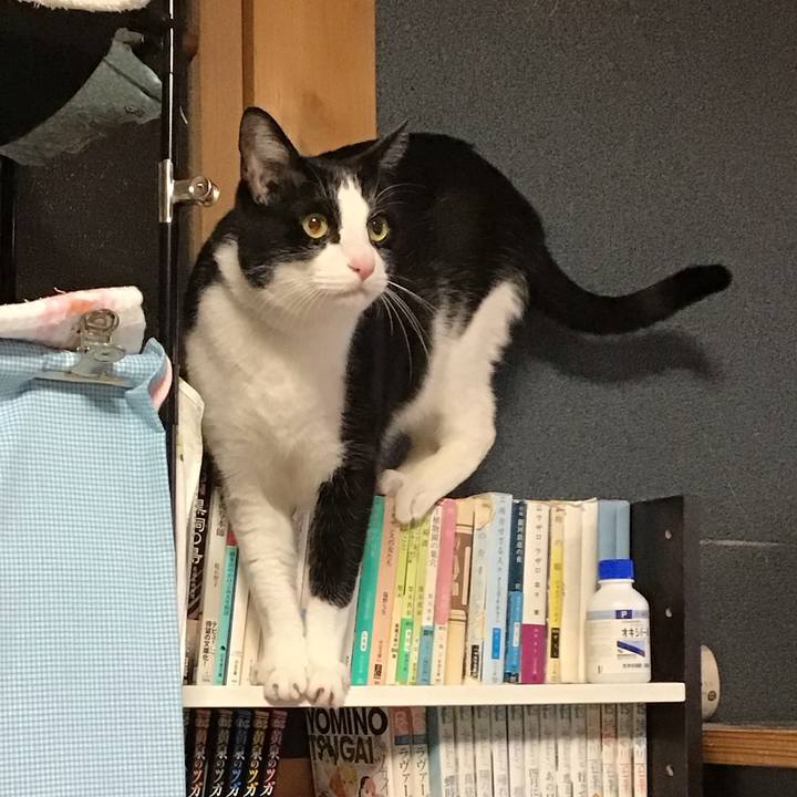 602e786a af5e 40ed b4bb 4defb8832d98 1743496448732