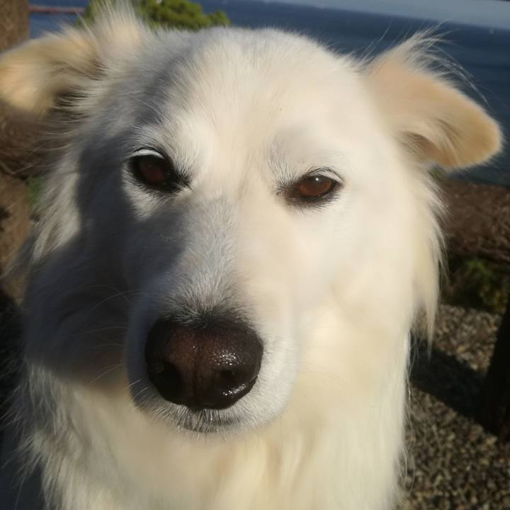 602e8df6 2d93 461d a02b 309b3f86a30a 1523608739754