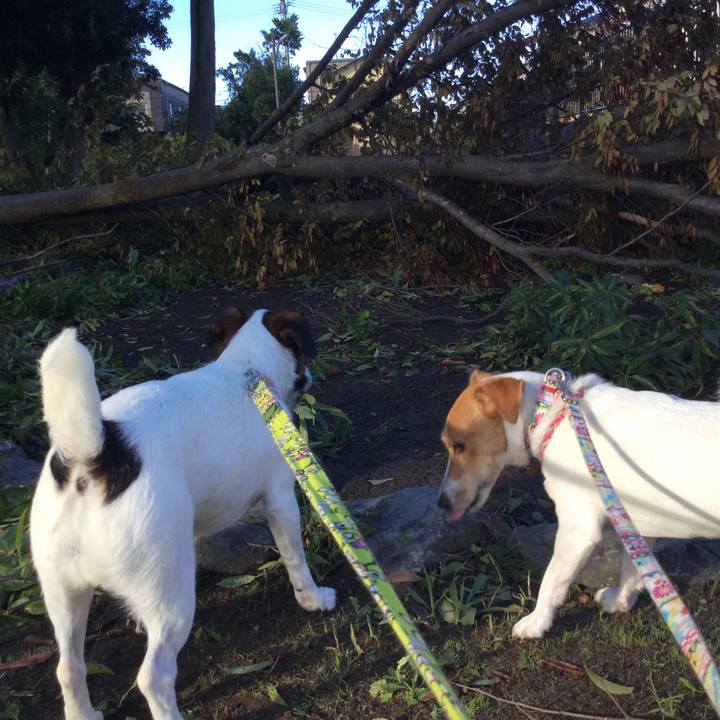 602ea7b8 46d6 4e1d 9f92 5d4341aa6ad5 1538346859469