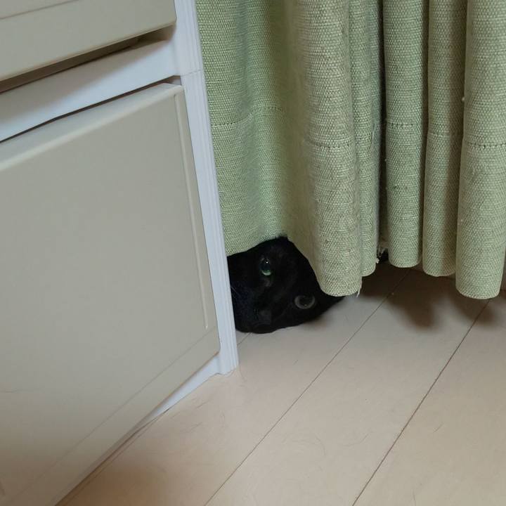 602ed8b3 65b2 4043 9999 14522f3a02fe 1722469018072