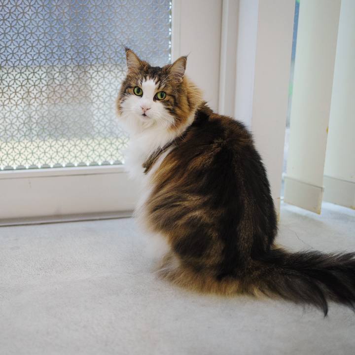 602f217a cfb2 4efc b2ad 782c715ea407 1721439523351