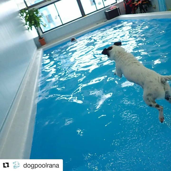 602f3322 5486 4b60 9841 69eaa50a51f7 1563885178186