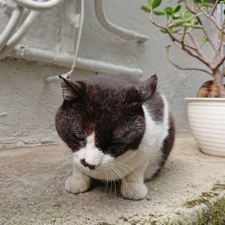 602f5434 136a 4ec7 8b1e 4f2f1b638799 1652311330350