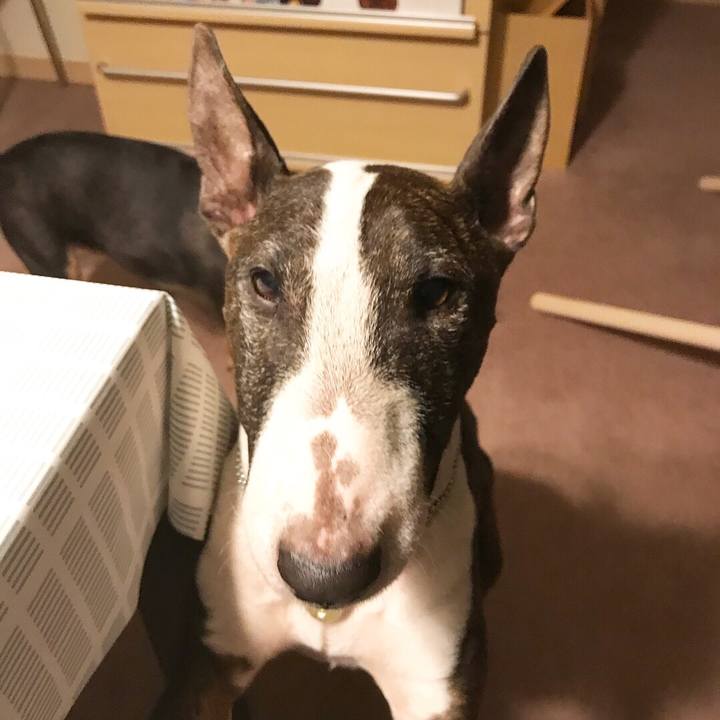 602faab1 3d54 4bf1 9966 b42ae2cbe672 1521722474640