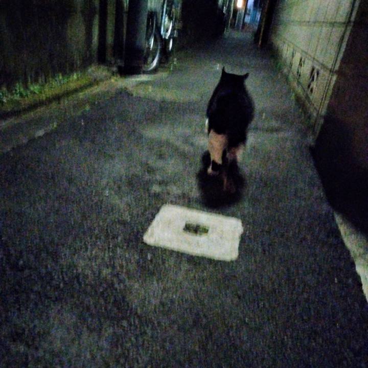 60304afe e5cb 4fc2 91de 5da770e96f3a 1701941196798