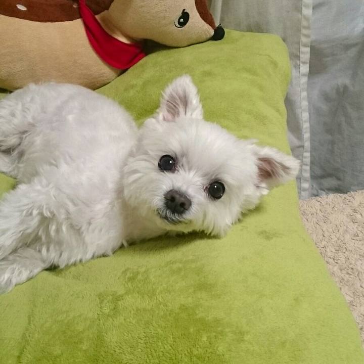 6030999b a052 4e4d b156 0c59a1922021 1508903014427