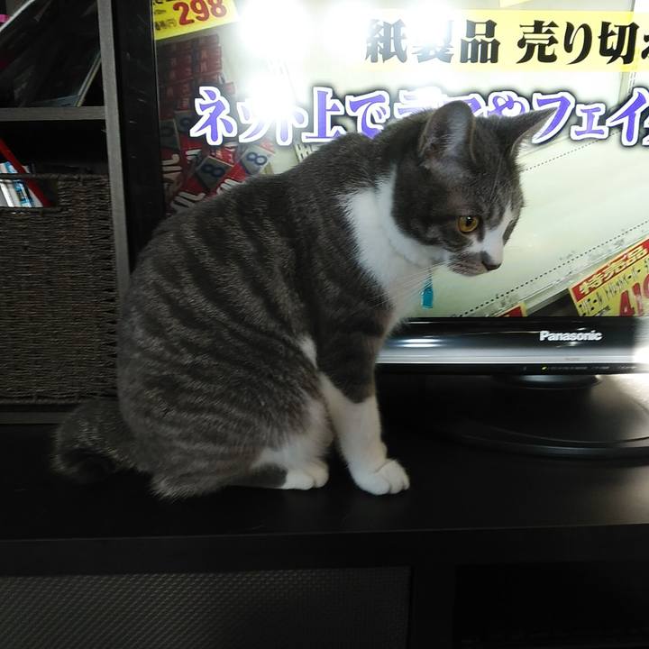 6030a887 b812 445e b526 cb2918d42166 1583015596511