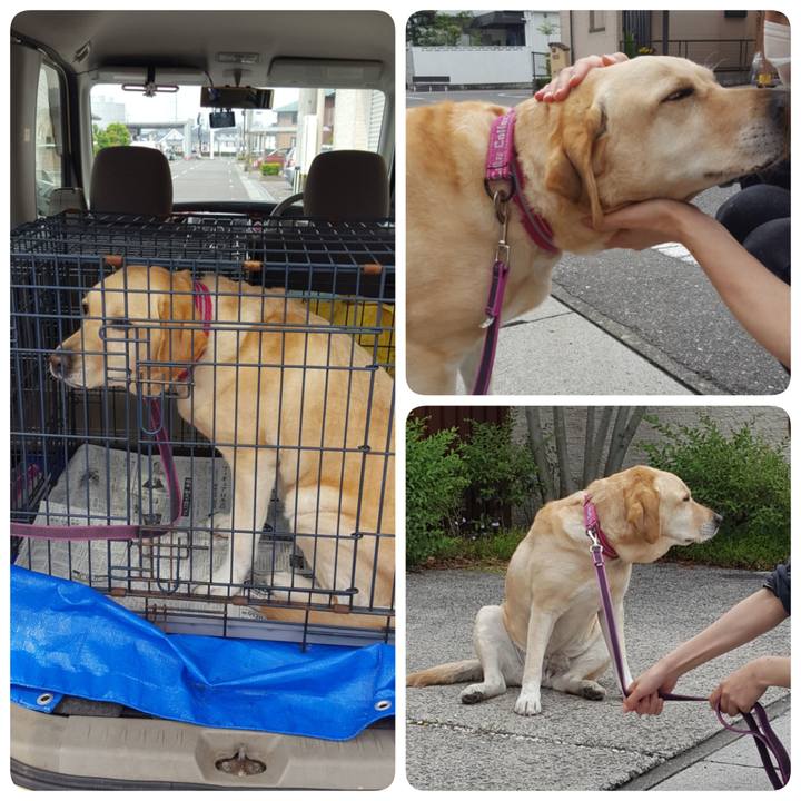 6030de9c e5ca 4713 a210 9eb33572ac76 1557812328183