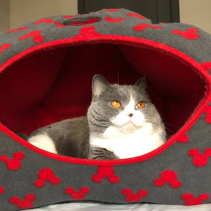 6030f89e 7e13 45e9 a554 8f30fe90e822 1513072742728