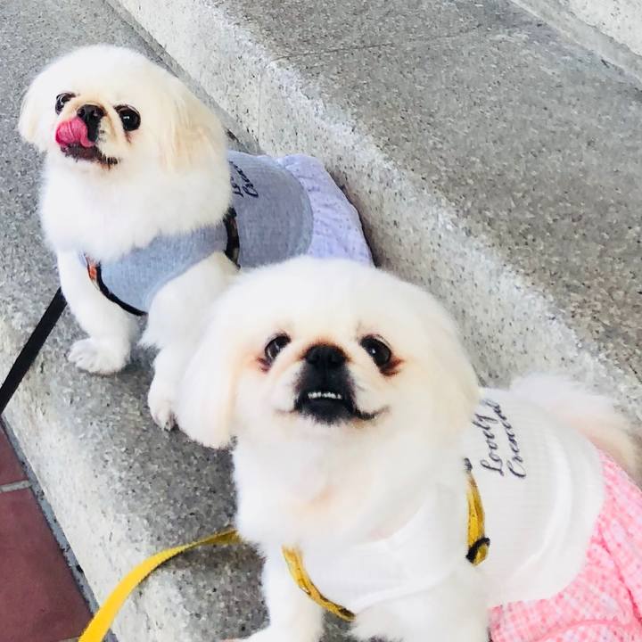 6031d58a c5d0 4e19 989b ac8a12b83e23 1596577901795