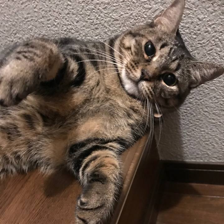 6031e94e e2e2 4640 ae5c 89525641f2fb 1537961608382