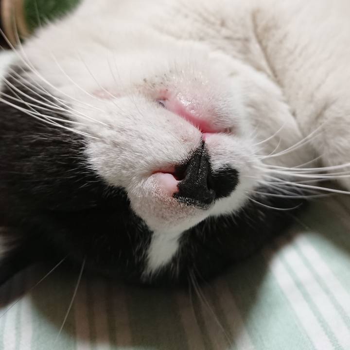 60320397 674a 40d1 90a2 648c5e9d23f9 1560593490830