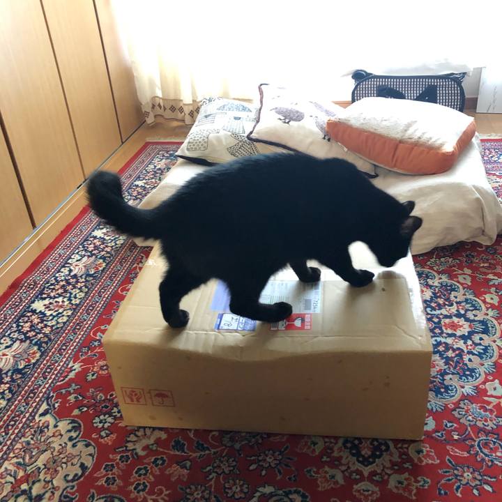 603219cd ef57 402b b191 f99c8e65a6fa 1545451311677