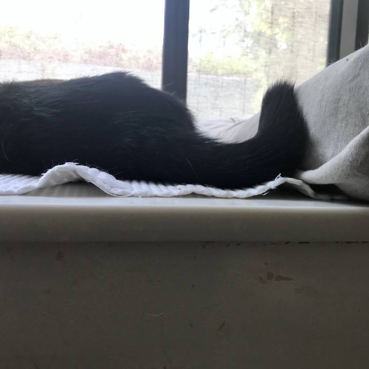 60322437 3b54 42ac a00a 18ce22b2890a 1559185545646