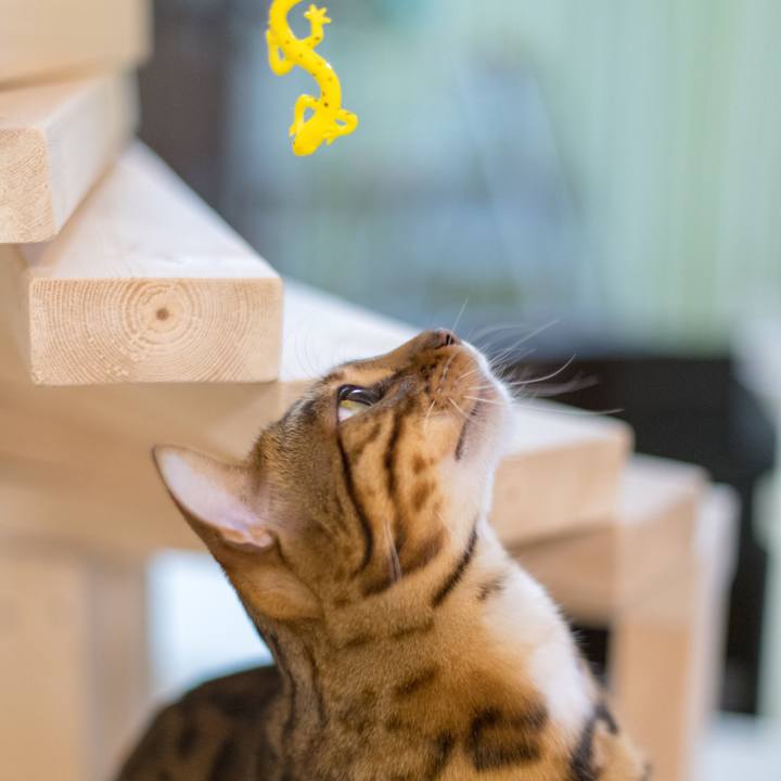 60327463 812b 4873 9741 d871b42db2fa 1520784838460