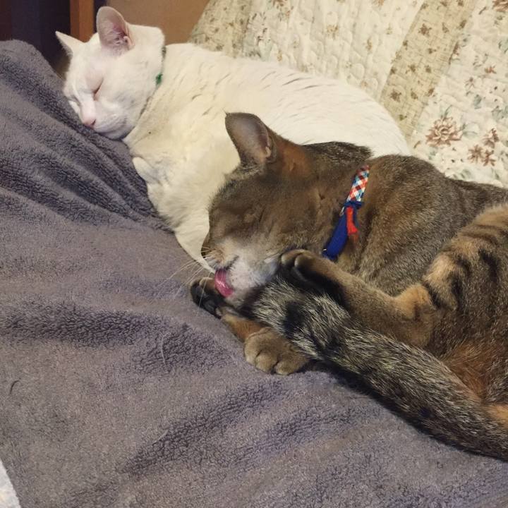 603280a5 6912 41a4 ba30 4eb992c8fc37 1553956835683