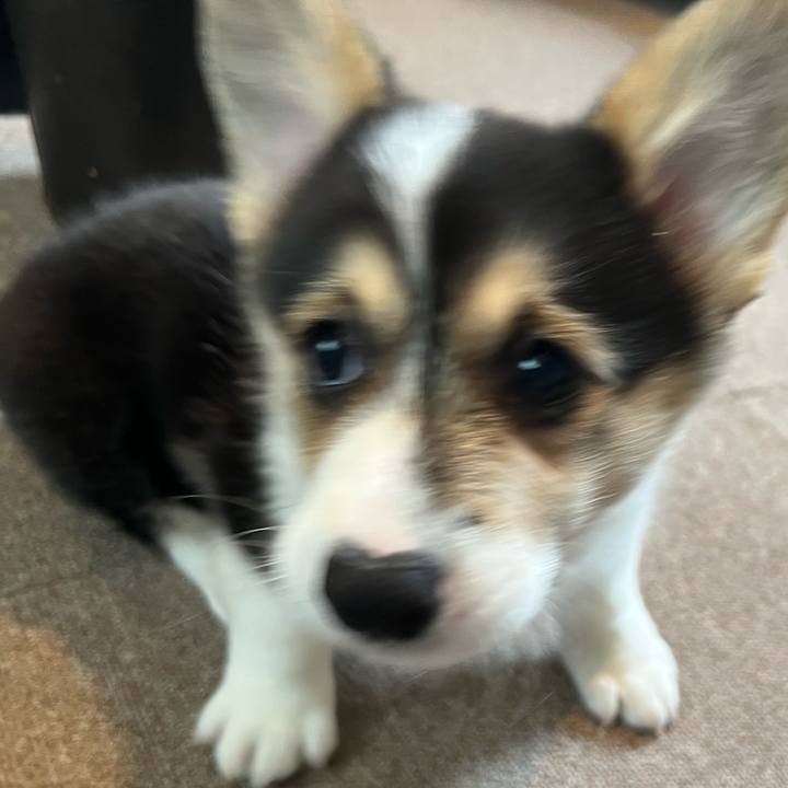 60329b7c 445f 4492 96ac 2b93c1d4622c 1768869796339