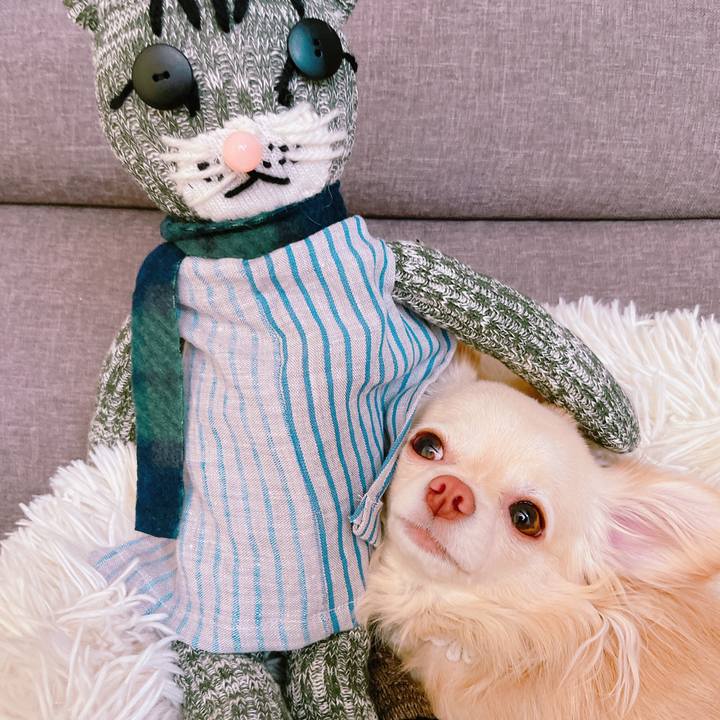 6032a12f 87d2 49a9 b27e 302dd944c2d7 1652057930140