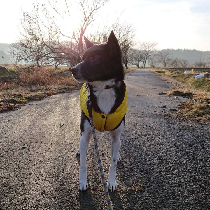 6032b1e8 bc97 4941 ac49 2a0f93070b8e 1515284686245