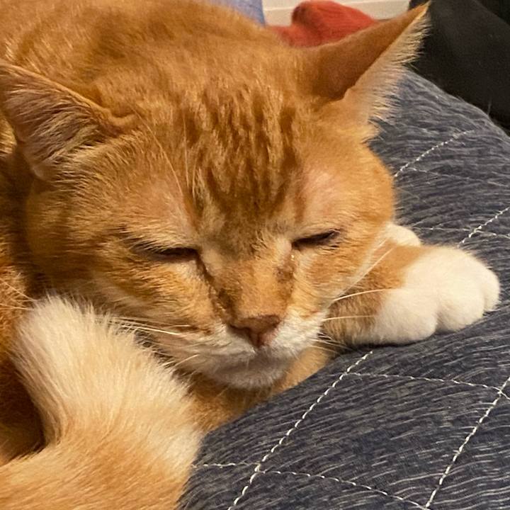 6032c356 a33c 4fcc 9744 fdac7bff813b 1624624718655