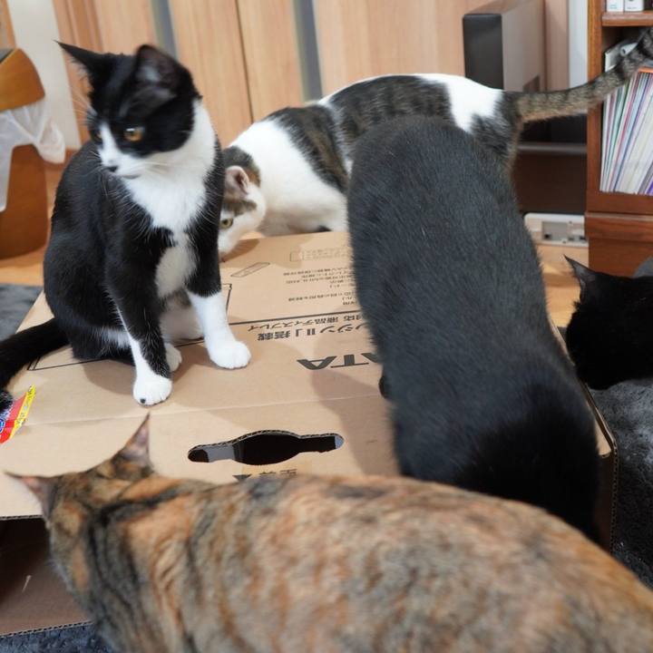 6032f347 a863 41e3 840b 12b869e35567 1586330365014