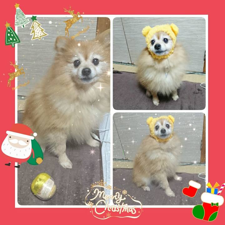 60331271 dc50 4571 a186 0cfdd0943379 1514154788938