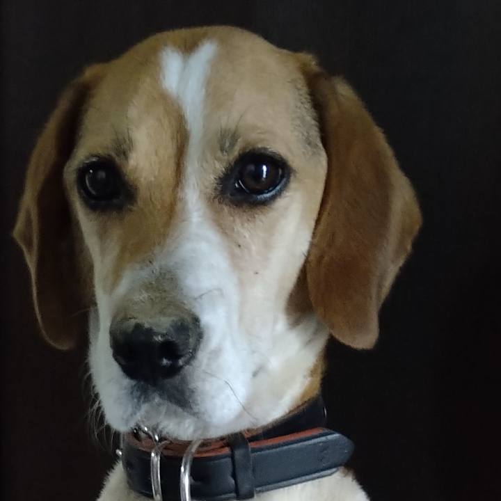 60335380 46ab 4357 ba39 718297aecca5 1656307890074