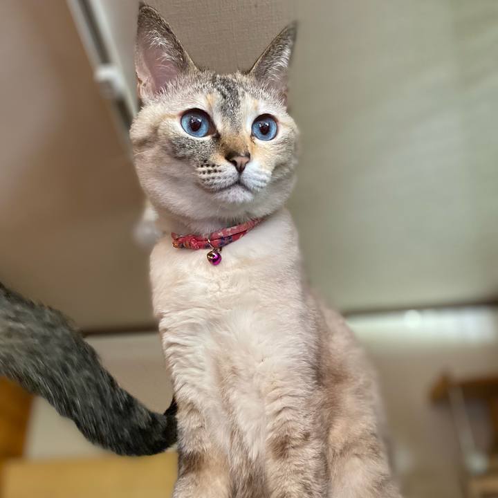 60337899 a373 4f8c b795 71fb88835457 1749006762945