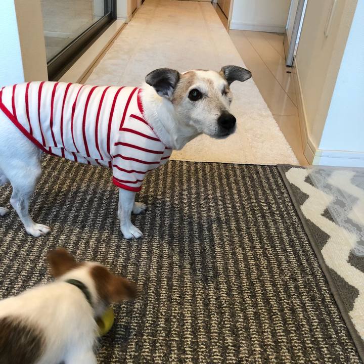 60338c38 5f4d 4f96 a2f3 3f729714a2f8 1521293294166