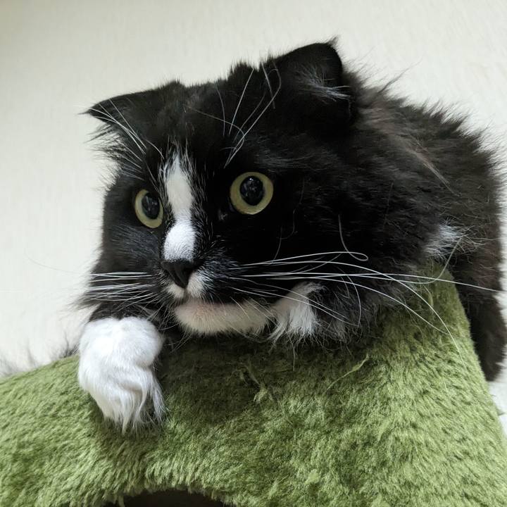 60339df4 055b 4d7e 850e 7d3c03e70c8d 1715819816564