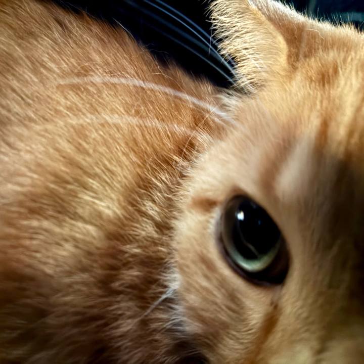 6033ba43 3287 40d8 8be8 78c865579618 1759542881607