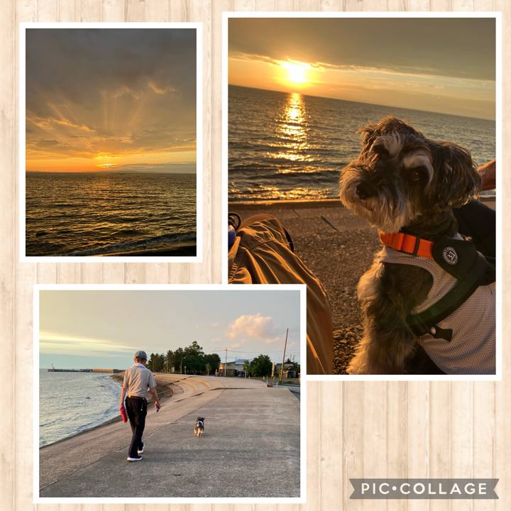 6033eb4c 391a 4076 9191 d07f7e07cbea 1717174655466